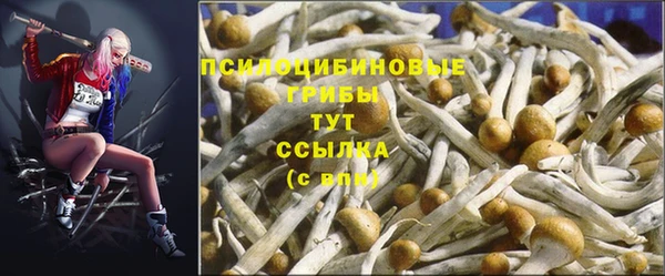каннабис Алексеевка