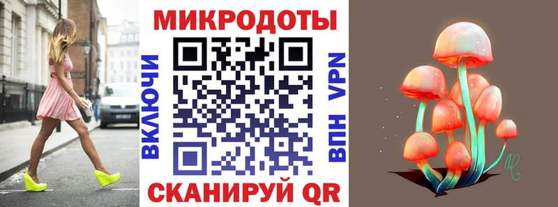 гидра зеркало Оса Галлюциногенные грибы Cubensis